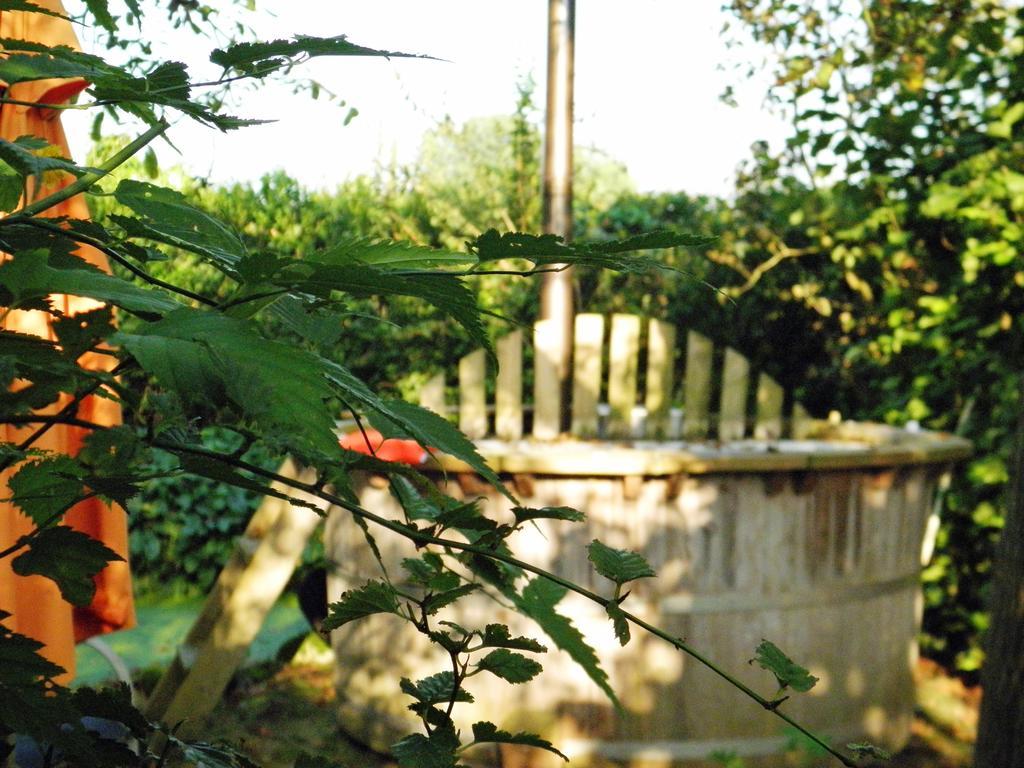 Bed & Breakfast Hofstede Het Klaphek Randwijk Δωμάτιο φωτογραφία